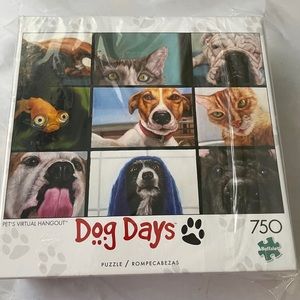 Virtual Hangout 750 piece jigsaw puzzle Fog Days buffalo games NIB